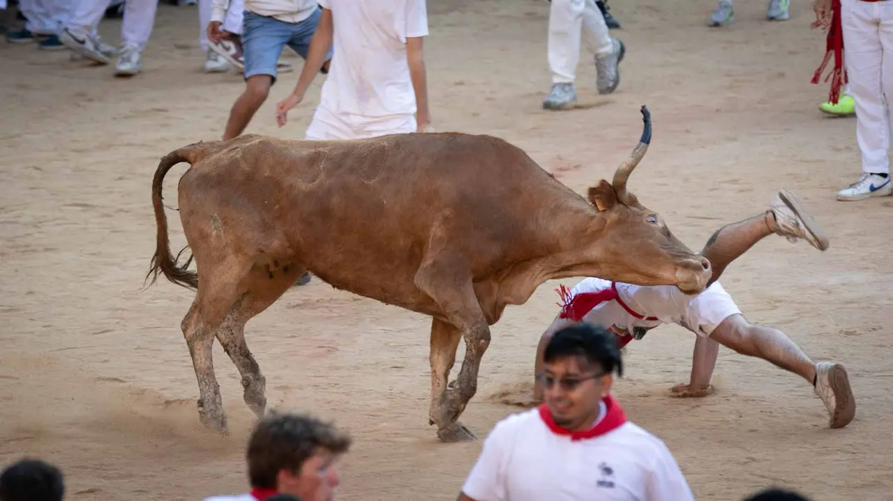 Suelta de vaquillas tras el tercer encierro de San Fermín en Pamplona.. Maite H. Mateo.-03