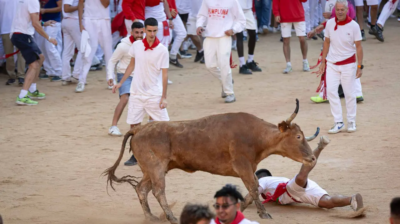 Suelta de vaquillas tras el tercer encierro de San Fermín en Pamplona.. Maite H. Mateo.-04