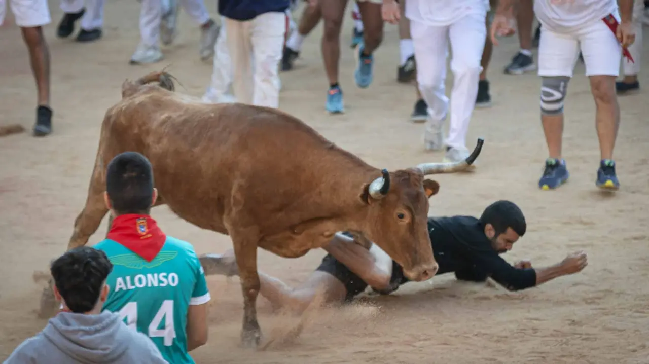 Suelta de vaquillas tras el tercer encierro de San Fermín en Pamplona.. Maite H. Mateo.-07
