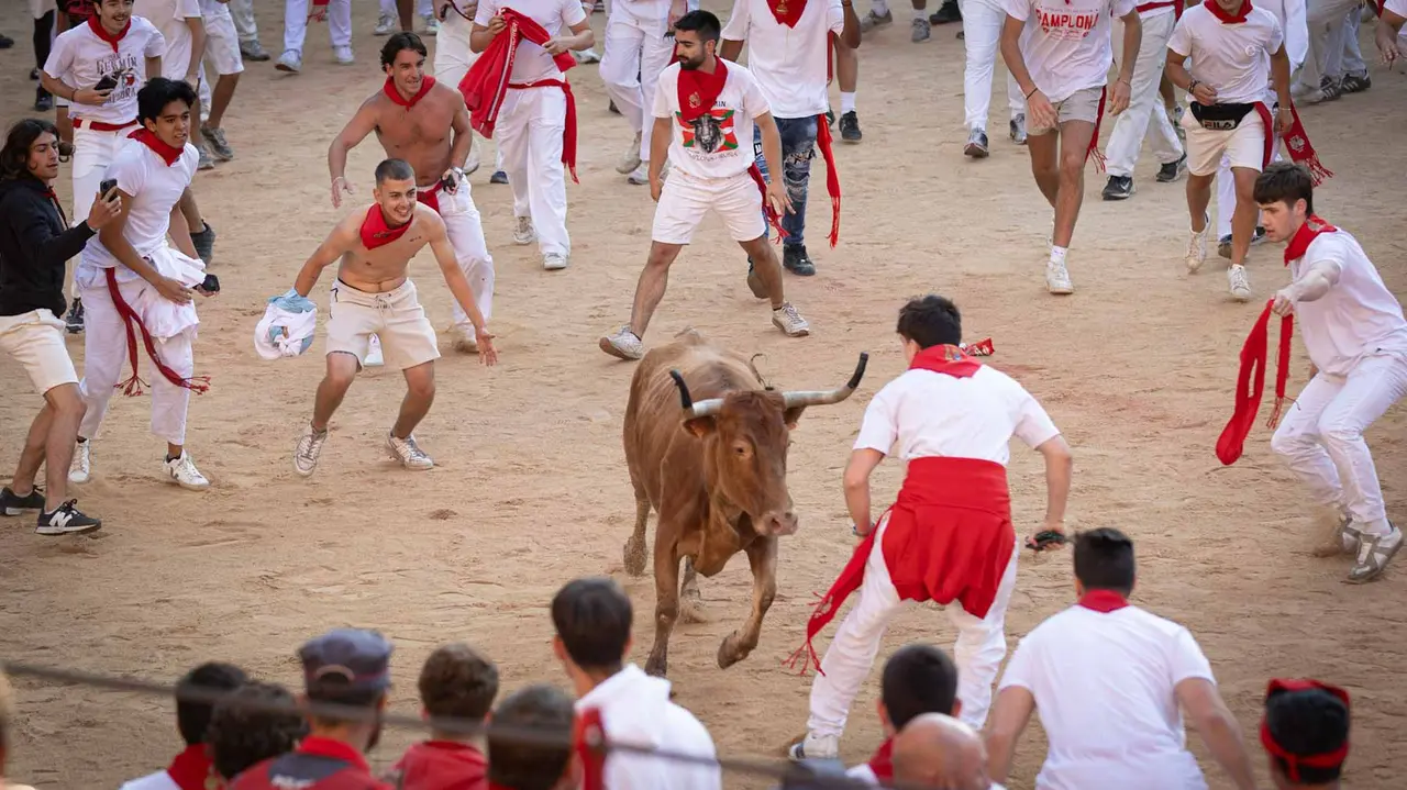 Suelta de vaquillas tras el tercer encierro de San Fermín en Pamplona.. Maite H. Mateo.-09