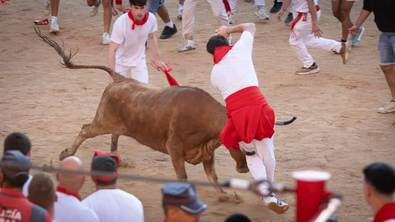 Suelta de vaquillas tras el tercer encierro de San Fermín en Pamplona.. Maite H. Mateo.-11