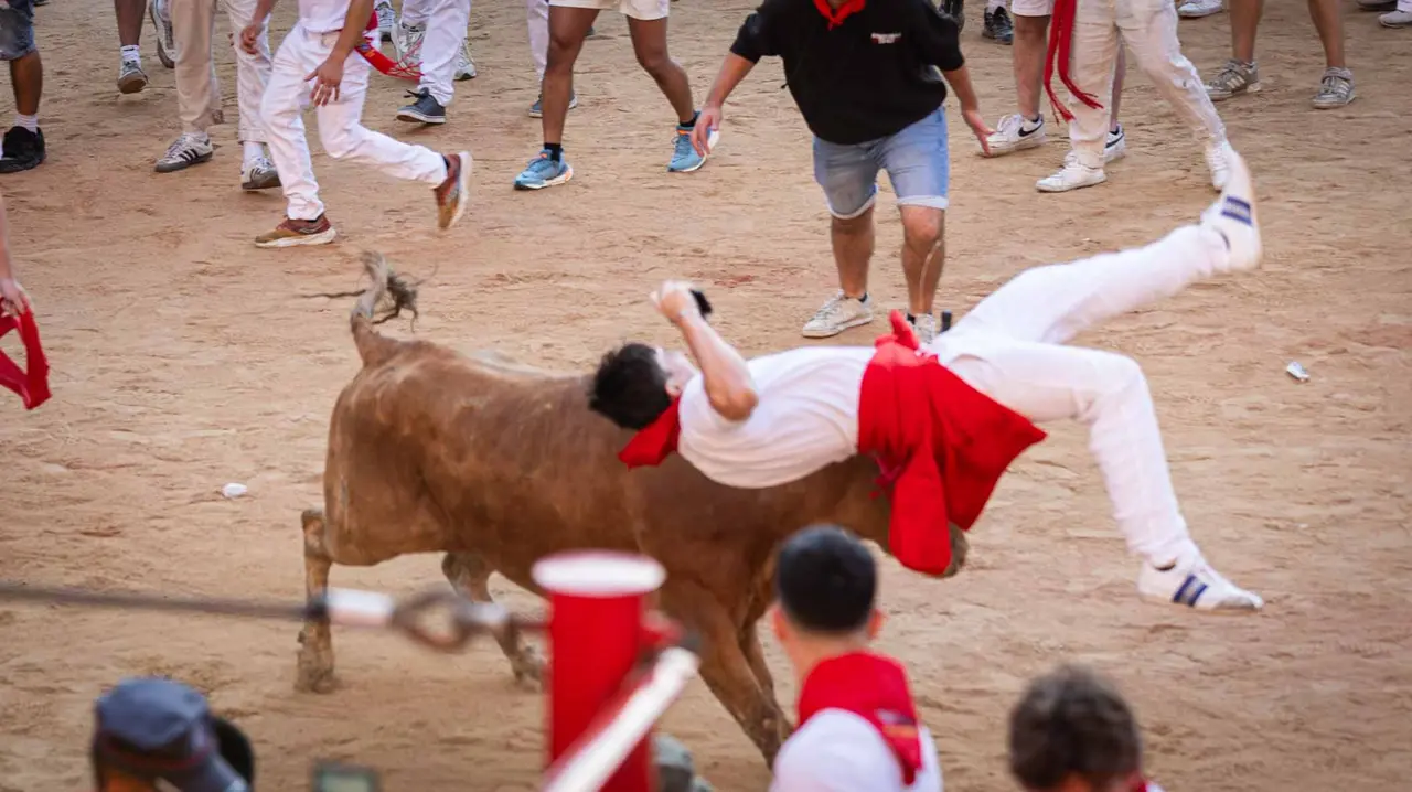 Suelta de vaquillas tras el tercer encierro de San Fermín en Pamplona.. Maite H. Mateo.-12