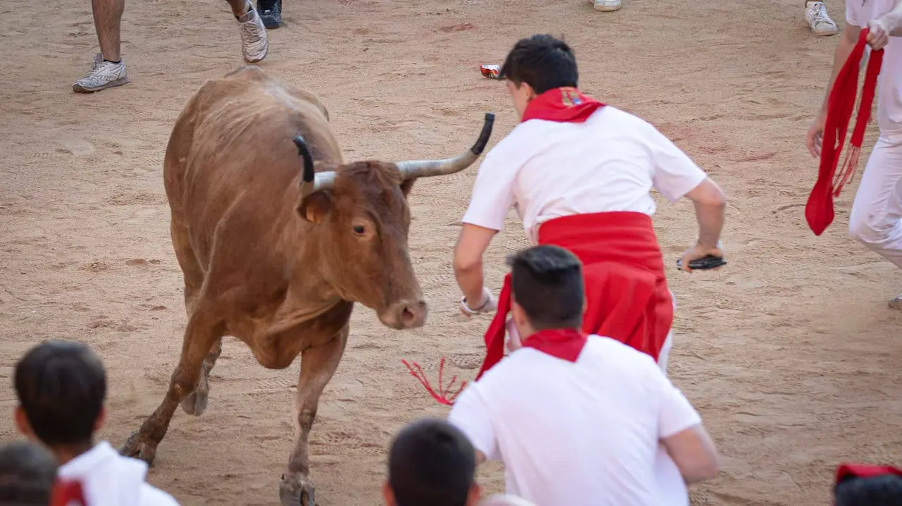Suelta de vaquillas tras el tercer encierro de San Fermín en Pamplona.. Maite H. Mateo.-10