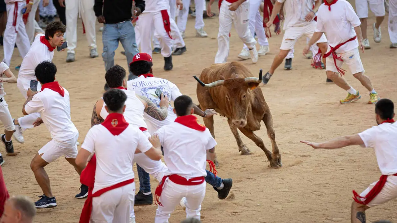 Suelta de vaquillas tras el tercer encierro de San Fermín en Pamplona.. Maite H. Mateo.-18