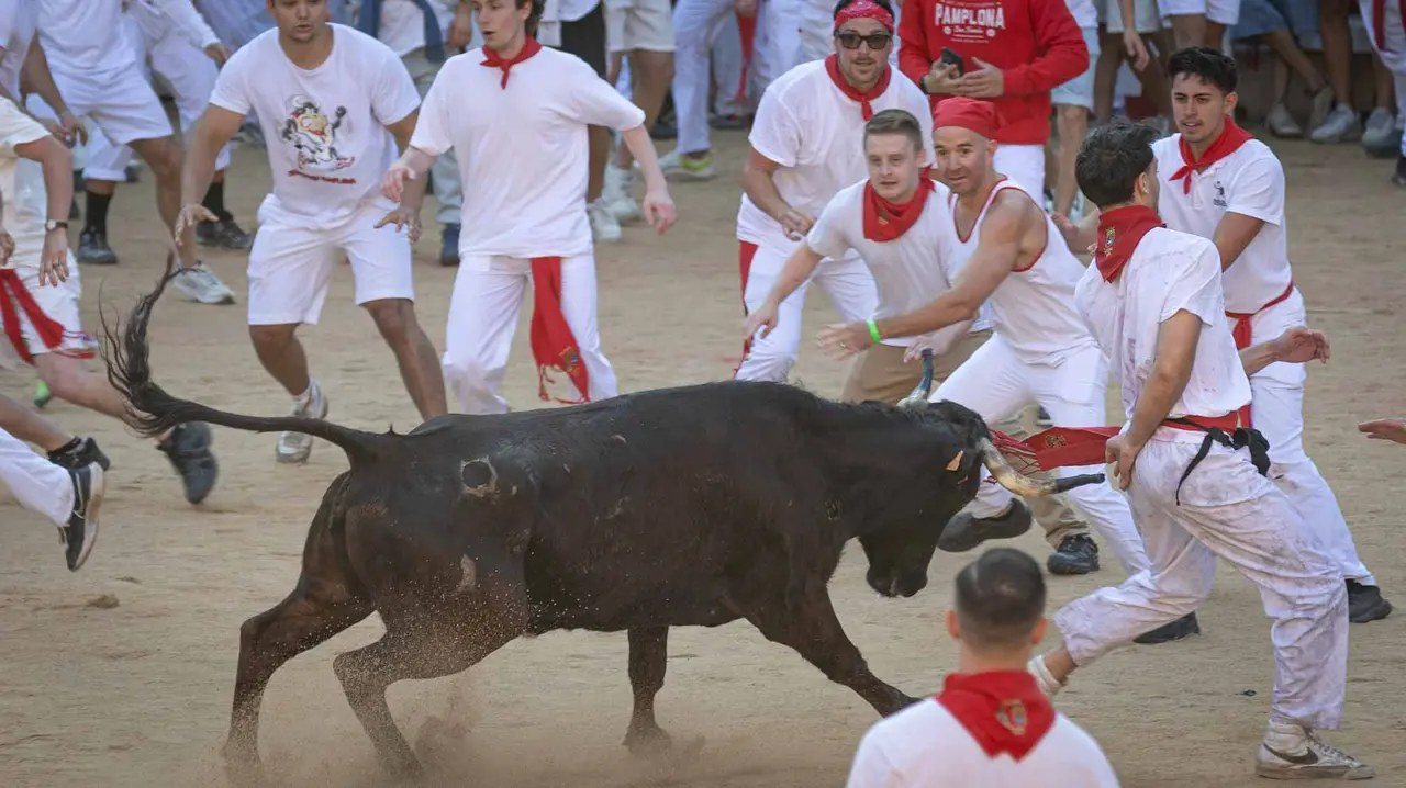 Suelta de vaquillas tras el tercer encierro de San Fermín en Pamplona.. Maite H. Mateo.-29