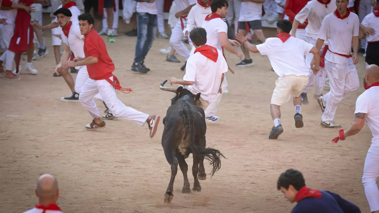 Suelta de vaquillas tras el tercer encierro de San Fermín en Pamplona.. Maite H. Mateo.-39