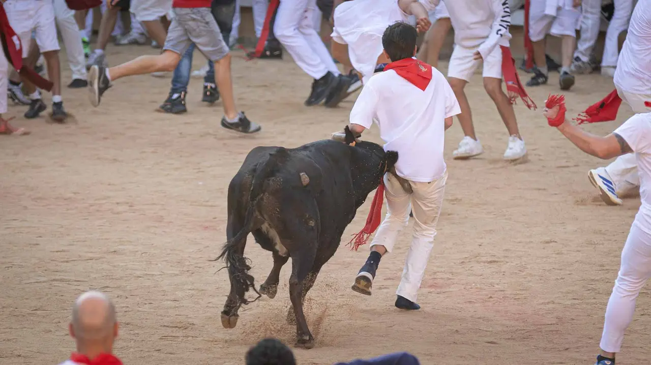 Suelta de vaquillas tras el tercer encierro de San Fermín en Pamplona.. Maite H. Mateo.-40