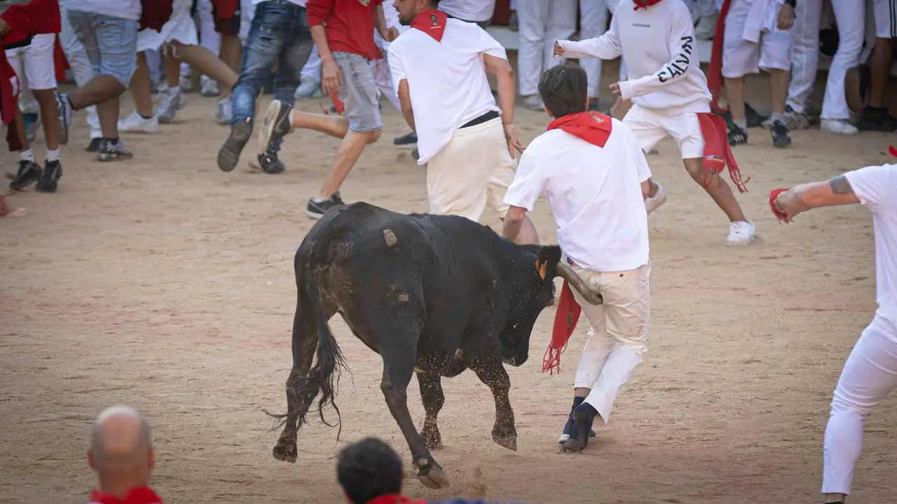 Suelta de vaquillas tras el tercer encierro de San Fermín en Pamplona.. Maite H. Mateo.-41