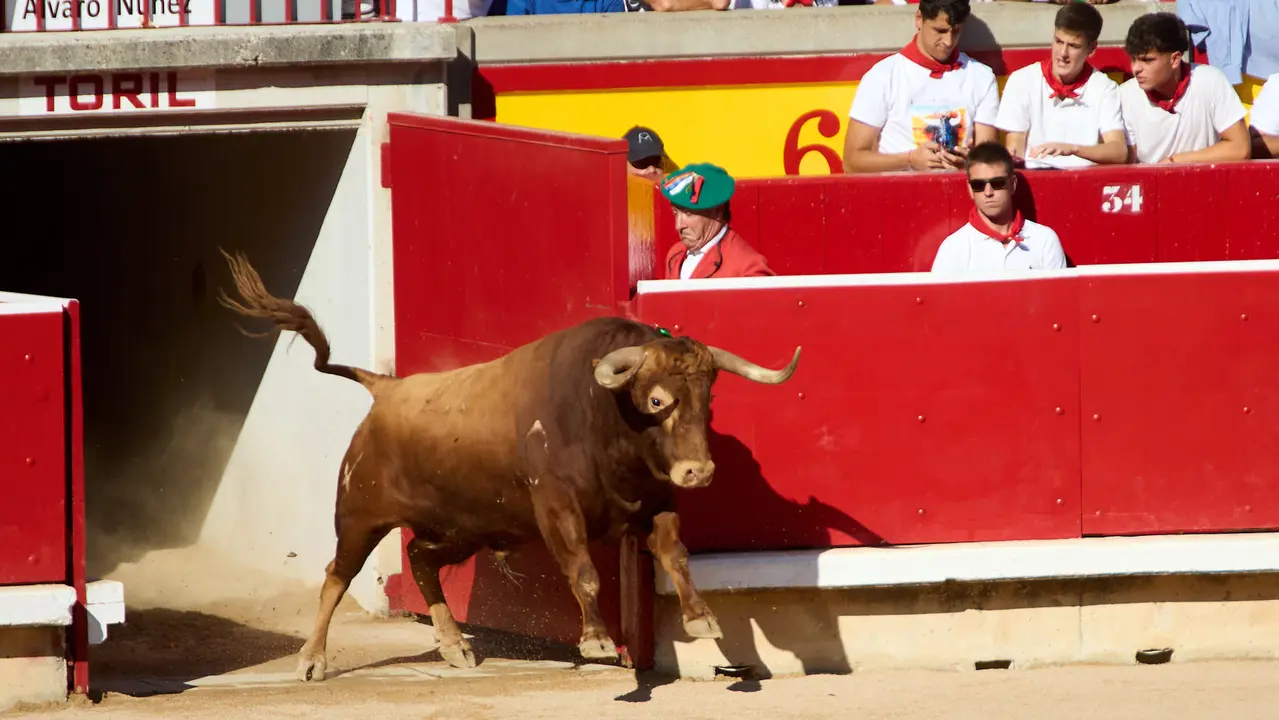 Tercera corrida de la Feria del Toro de San Fermín 2025 con toros de Álvaro Núñez para Morante de la Puebla, Roca Rey y Tomás Rufo. IÑIGO ALZUGARAY