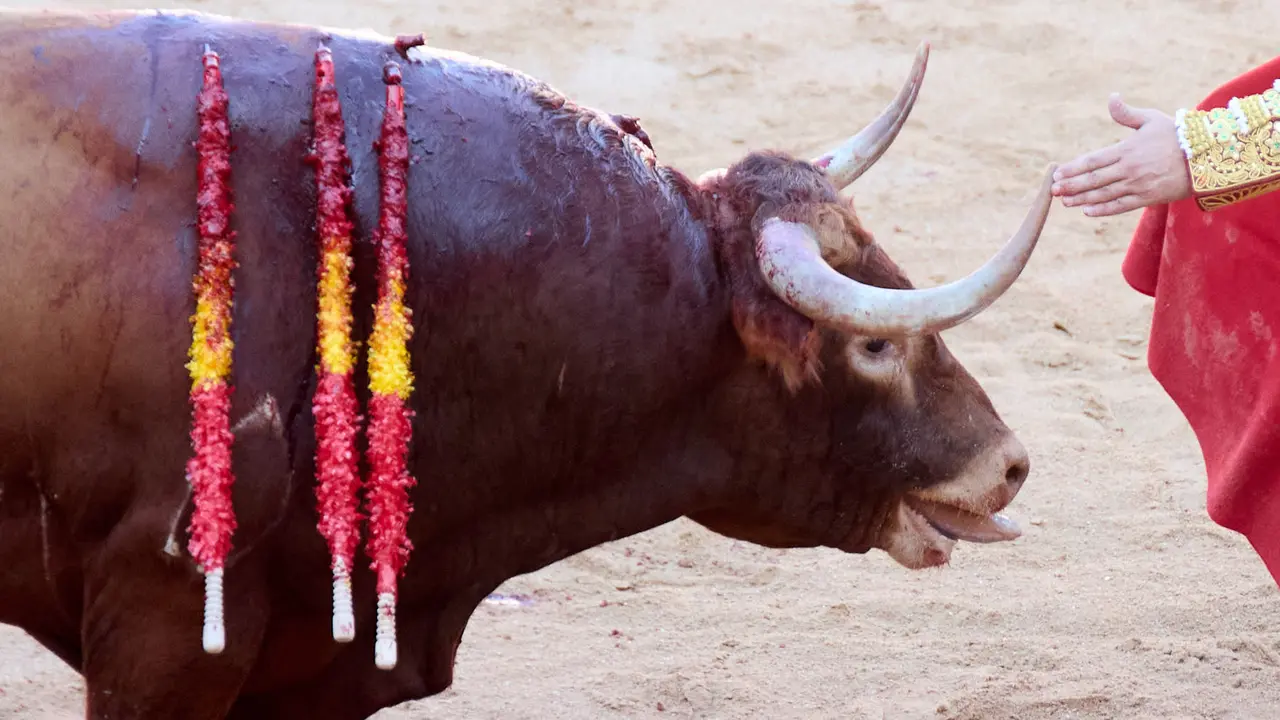 Tercera corrida de la Feria del Toro de San Fermín 2025 con toros de Álvaro Núñez para Morante de la Puebla, Roca Rey y Tomás Rufo. IÑIGO ALZUGARAY