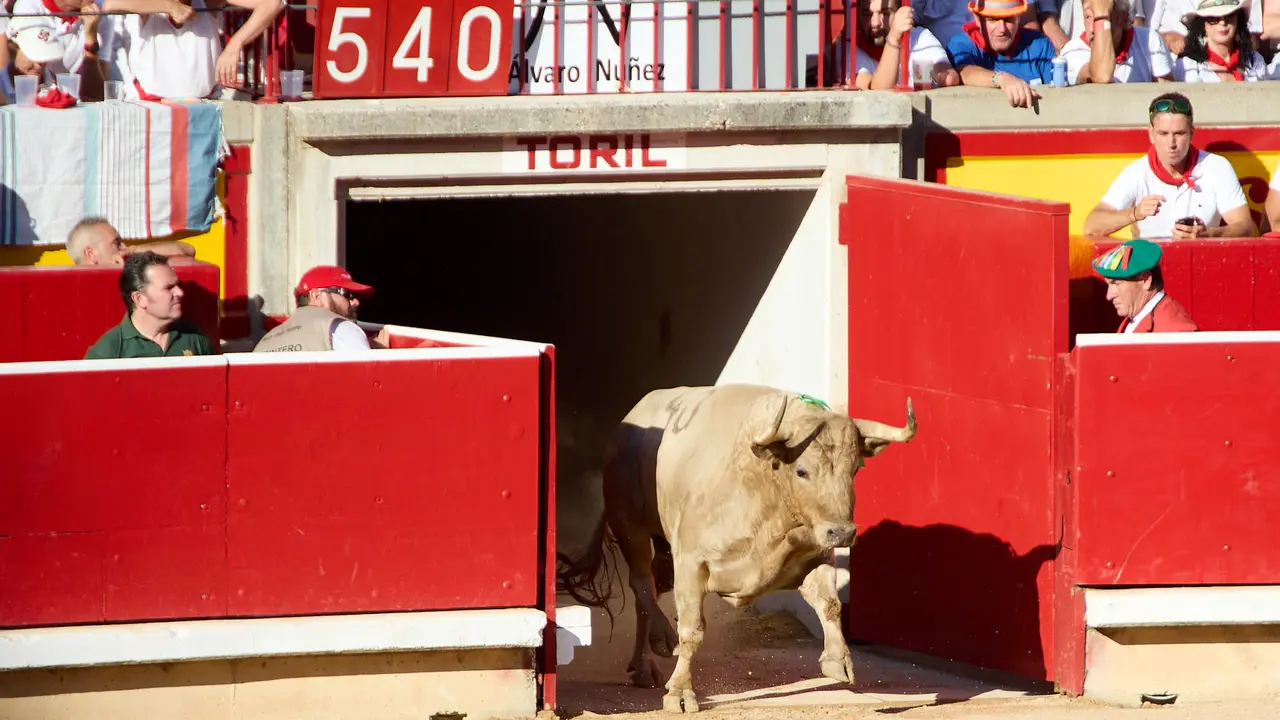 Tercera corrida de la Feria del Toro de San Fermín 2025 con toros de Álvaro Núñez para Morante de la Puebla, Roca Rey y Tomás Rufo. IÑIGO ALZUGARAY