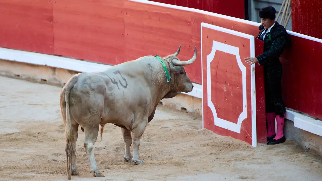 Tercera corrida de la Feria del Toro de San Fermín 2025 con toros de Álvaro Núñez para Morante de la Puebla, Roca Rey y Tomás Rufo. IÑIGO ALZUGARAY