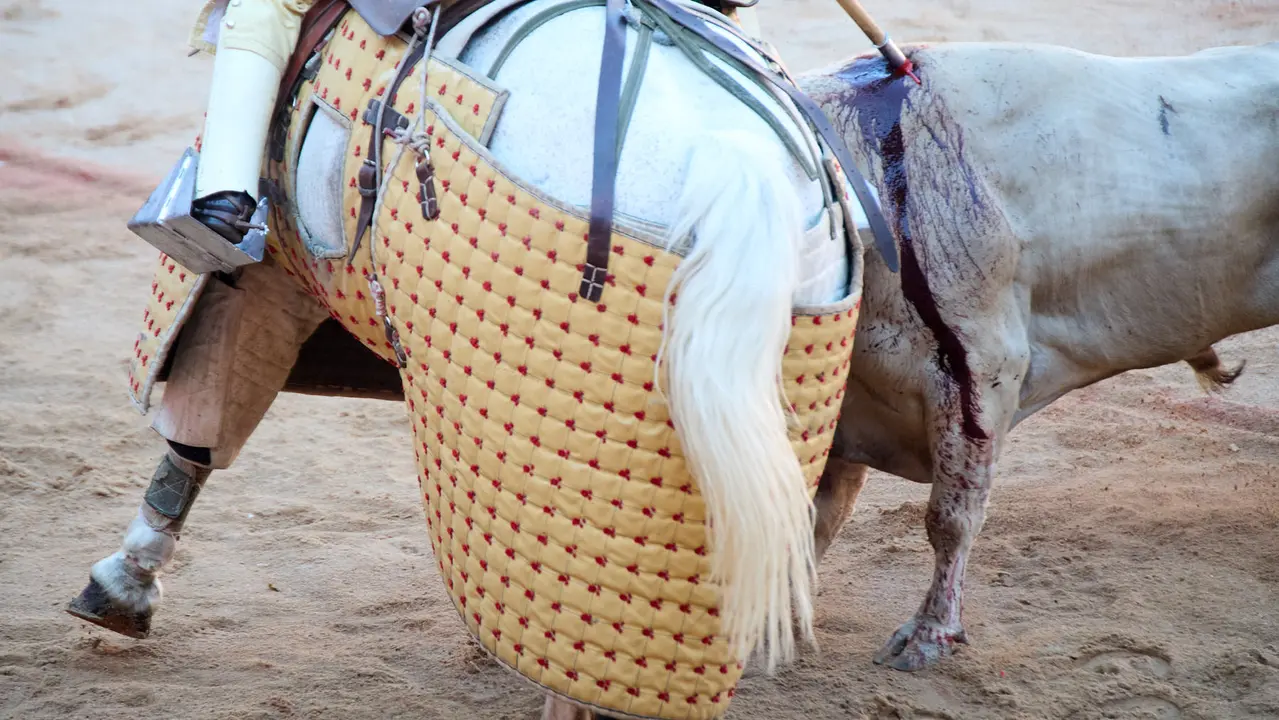 Tercera corrida de la Feria del Toro de San Fermín 2025 con toros de Álvaro Núñez para Morante de la Puebla, Roca Rey y Tomás Rufo. IÑIGO ALZUGARAY