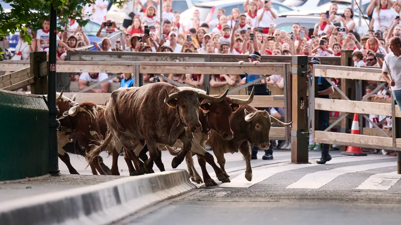 Encierrillo con los toros de Victoriano del Río durante San Fermín 2025. PABLO LASAOSA