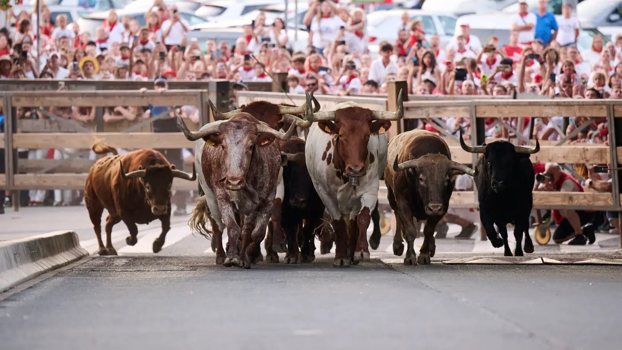 Encierrillo con los toros de Victoriano del Río durante San Fermín 2025. PABLO LASAOSA