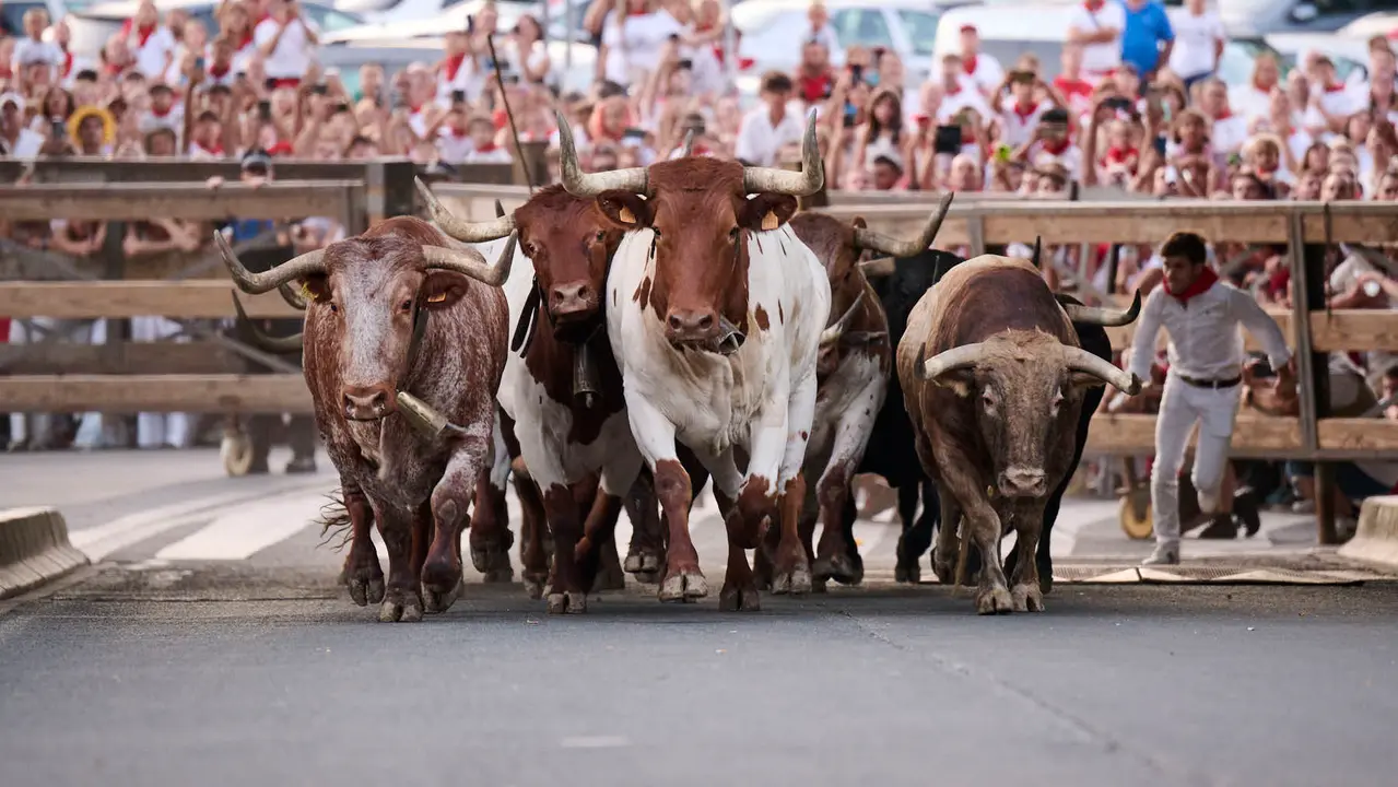 Encierrillo con los toros de Victoriano del Río durante San Fermín 2025. PABLO LASAOSA