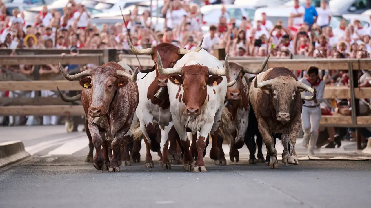 Encierrillo con los toros de Victoriano del Río durante San Fermín 2025. PABLO LASAOSA