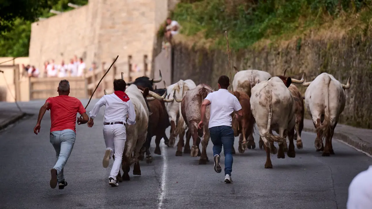 Encierrillo con los toros de Victoriano del Río durante San Fermín 2025. PABLO LASAOSA