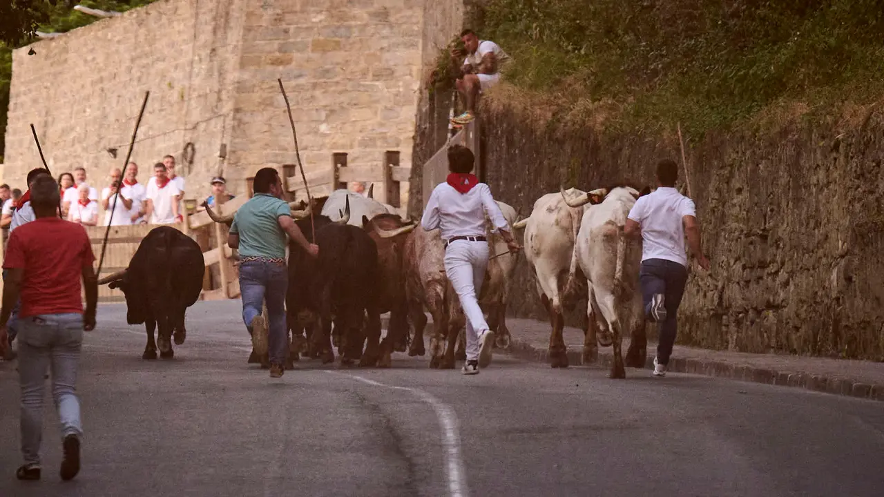 Encierrillo con los toros de Victoriano del Río durante San Fermín 2025. PABLO LASAOSA