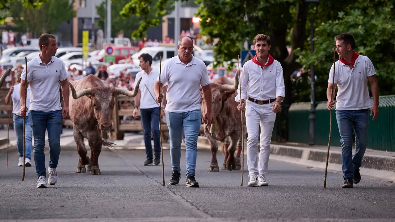 Encierrillo con los toros de Victoriano del Río durante San Fermín 2025. PABLO LASAOSA