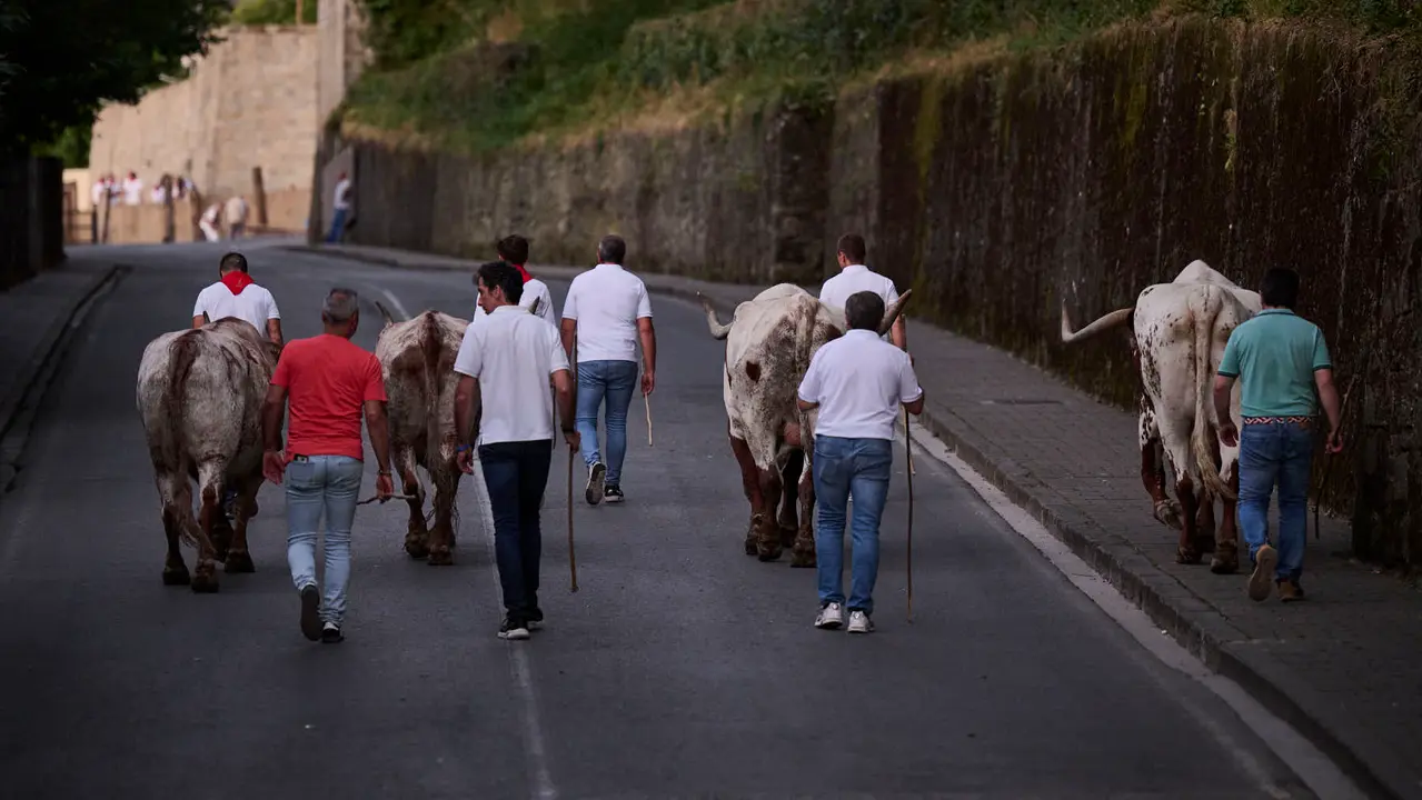 Encierrillo con los toros de Victoriano del Río durante San Fermín 2025. PABLO LASAOSA