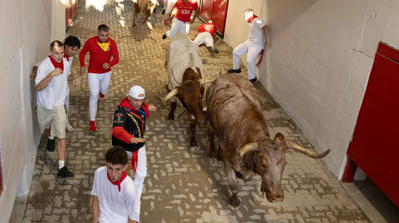 Cuarto encierro de San Fermín con toros de Victoriano del Río en callejón plaza. Maite H. Mateo.-06