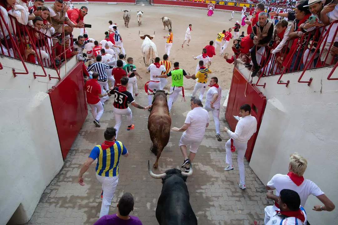 Cuarto encierro de San Fermín con toros de Victoriano del Río en callejón plaza. Maite H. Mateo.-1