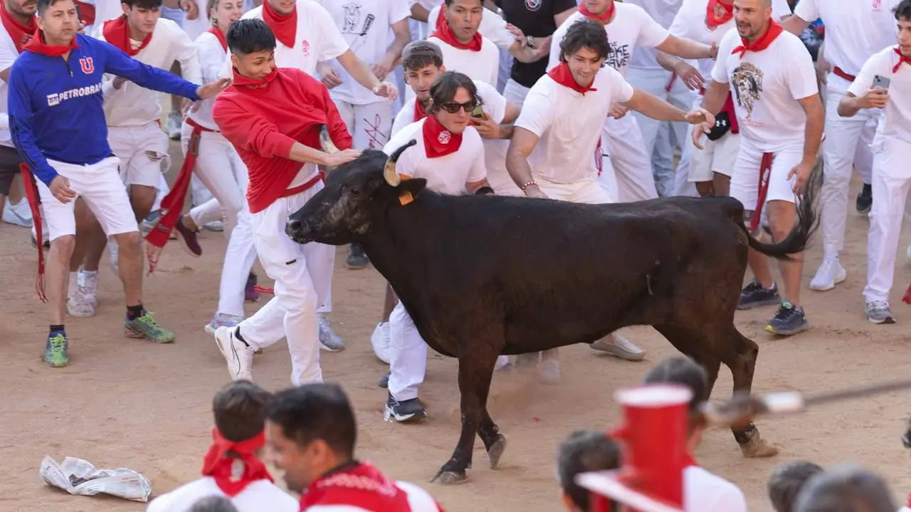 Suelta de vaquillas tras el cuarto encierro de San Fermín. Maite H. Mateo.-02