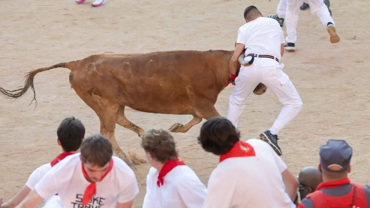 Suelta de vaquillas tras el cuarto encierro de San Fermín. Maite H. Mateo.-08