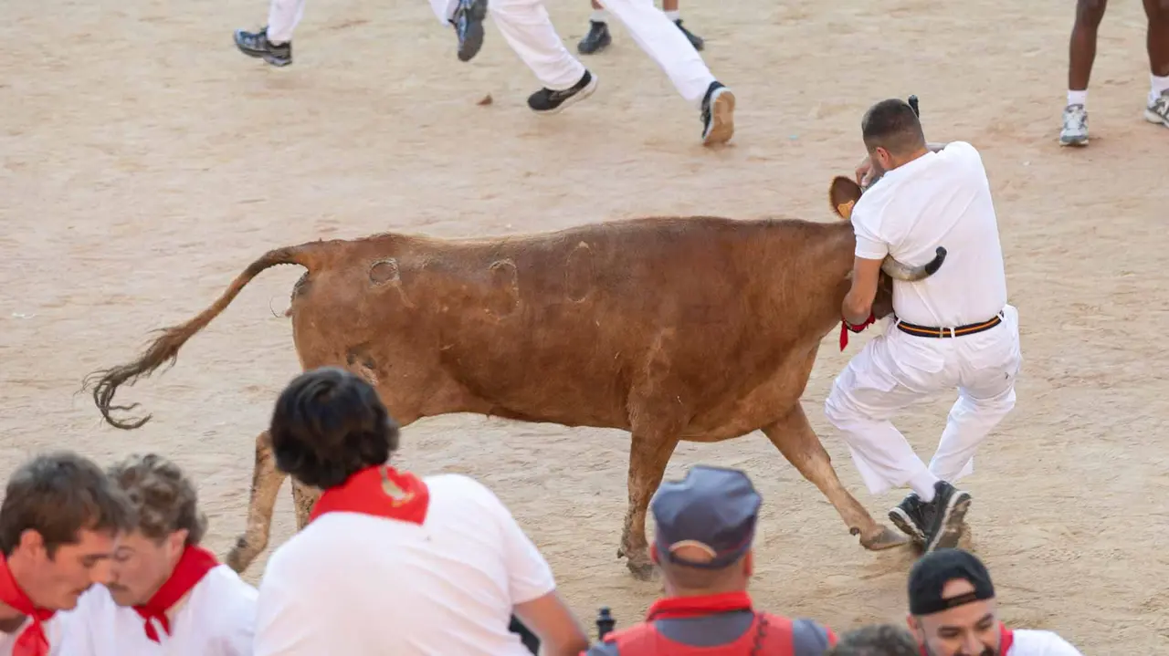 Suelta de vaquillas tras el cuarto encierro de San Fermín. Maite H. Mateo.-10