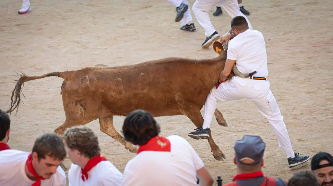 Suelta de vaquillas tras el cuarto encierro de San Fermín. Maite H. Mateo.-09