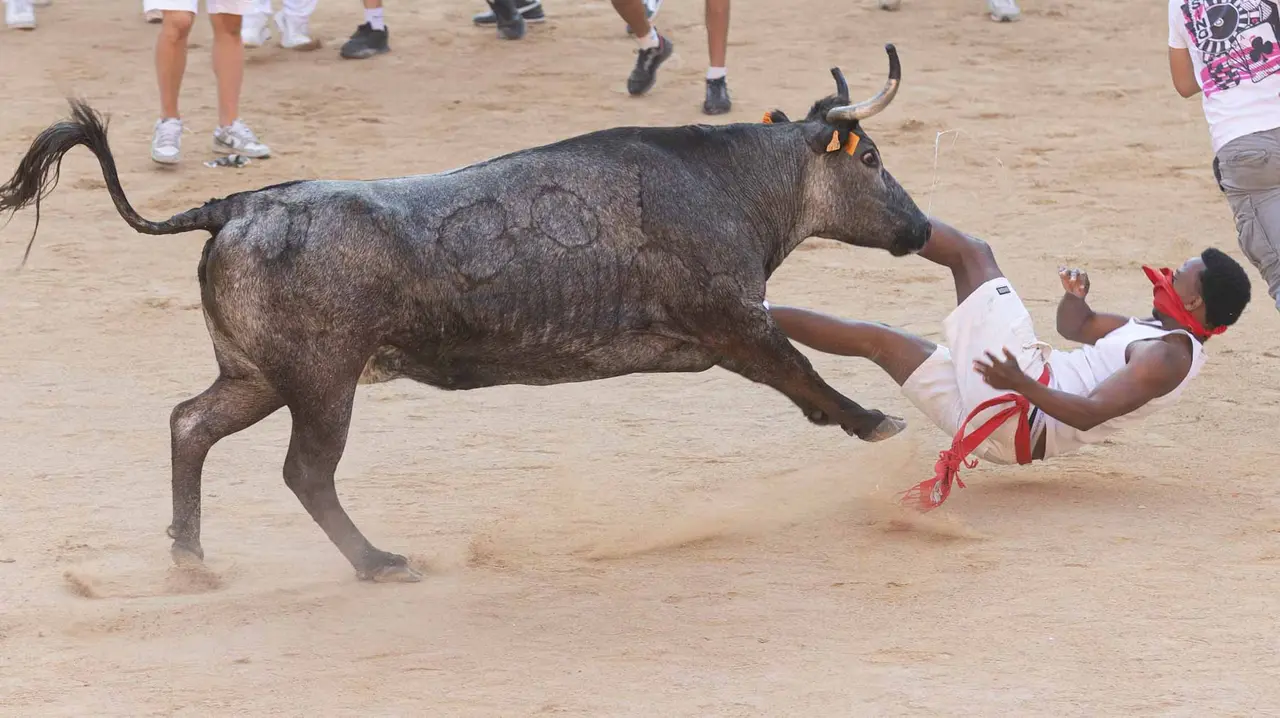 Suelta de vaquillas tras el cuarto encierro de San Fermín. Maite H. Mateo.-18