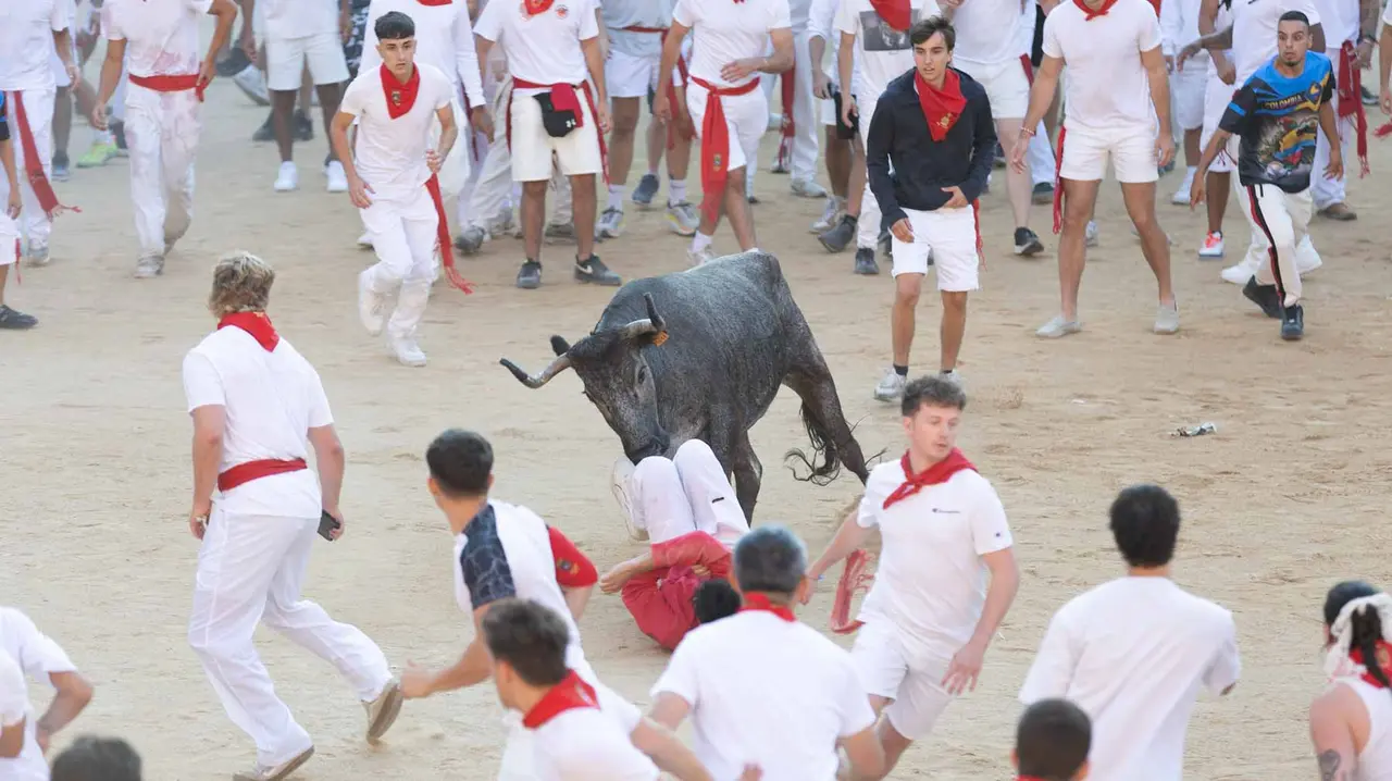 Suelta de vaquillas tras el cuarto encierro de San Fermín. Maite H. Mateo.-26