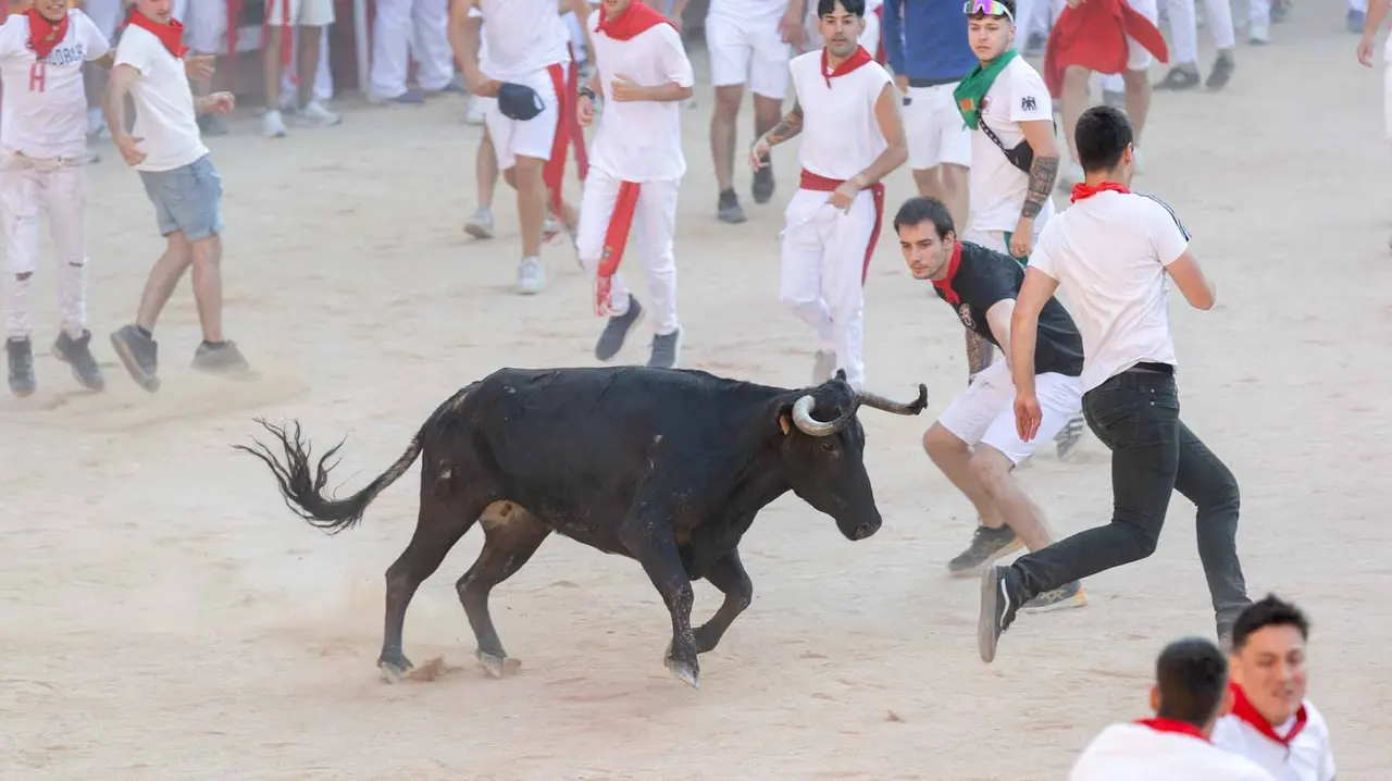 Suelta de vaquillas tras el cuarto encierro de San Fermín. Maite H. Mateo.-36