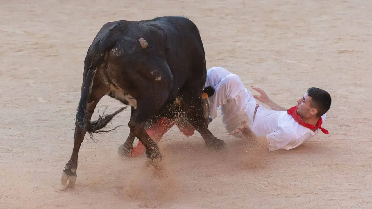 Suelta de vaquillas tras el cuarto encierro de San Fermín. Maite H. Mateo.-40