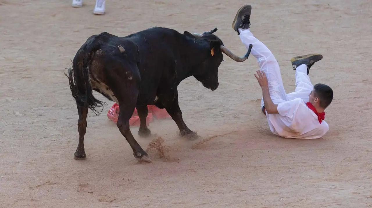 Suelta de vaquillas tras el cuarto encierro de San Fermín. Maite H. Mateo.-41