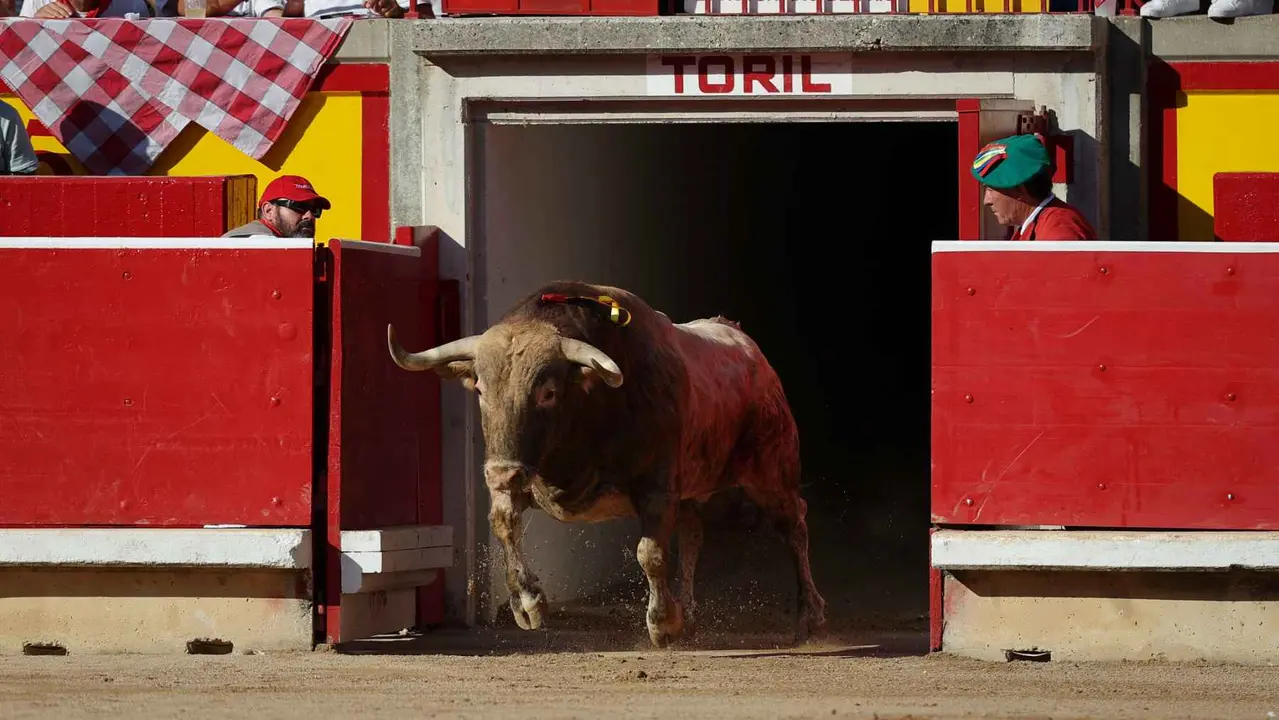 El torero Sebastián Castella durante la lidia a su primer toro de la tarde en la sexta de abono de la Feria de Toro de los Sanfermines 2025 con toros de la ganadería madrileña de Victoriano del Río Cortés y en la que comparte cartel con los diestros Emilio de Justo y Borja Jiménez. EFE/J.P. Urdíroz