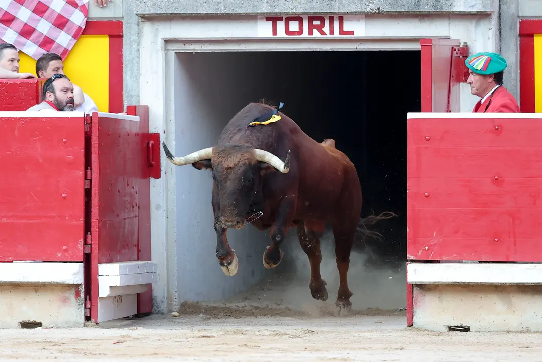 El torero Borja Jiménez durante la lidia a su segundo toro de la tarde en la sexta de abono de la Feria de Toro de los Sanfermines 2025 con toros de la ganadería madrileña de Victoriano del Río Cortés y en la que comparte cartel con los diestros Sebastián Castella y Emilio de Justo. EFE/J.P. Urdíroz