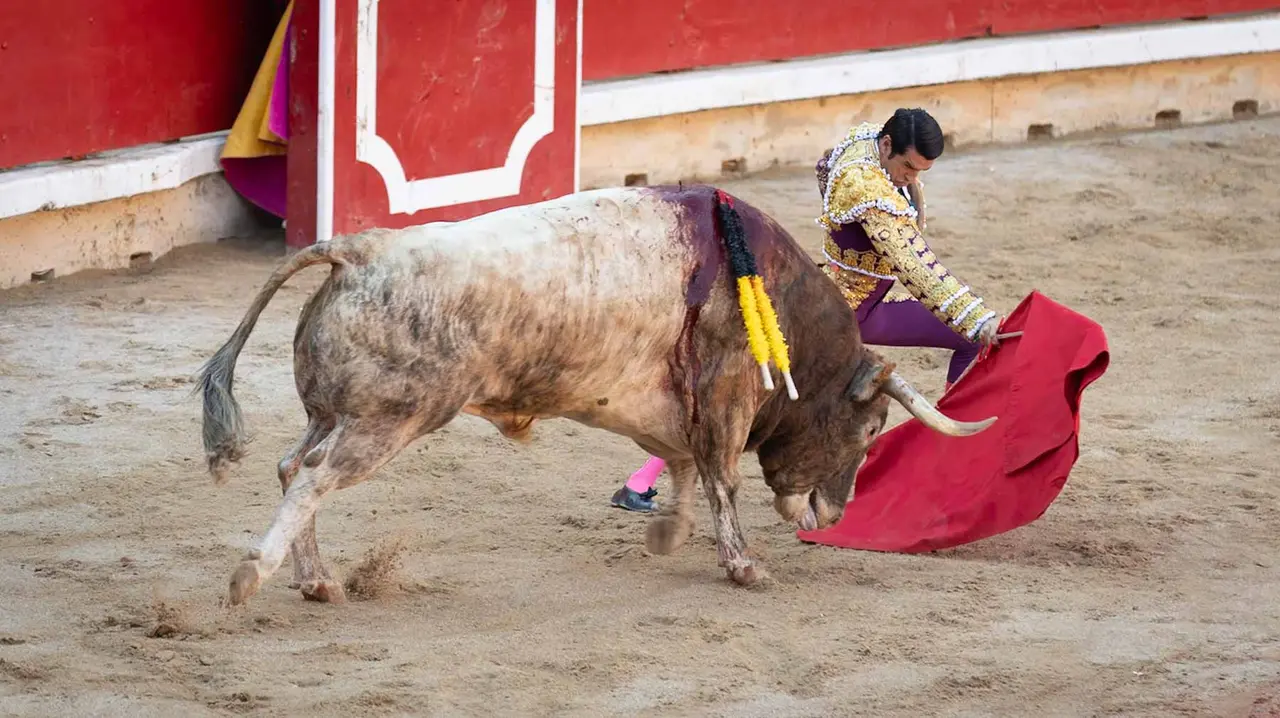 Cuarta corrida de la Fería de San Fermín en Pamplona. Maite H. Mateo.-21