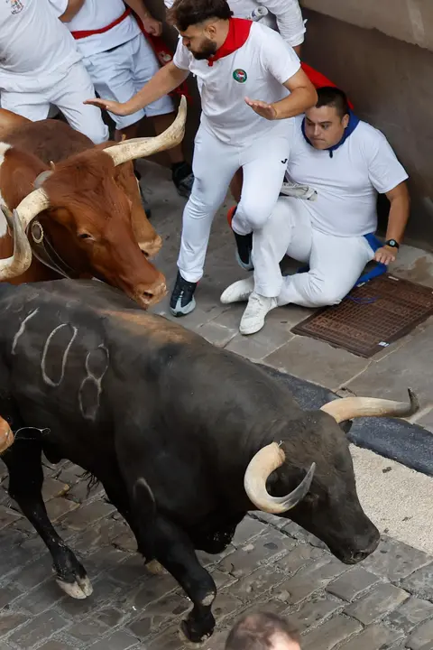 Quinto encierro de San Fermín 2025 el día 11 de julio con toros de Jandilla en Santo Domingo. EFE - VILLAR LÓPEZ (4)