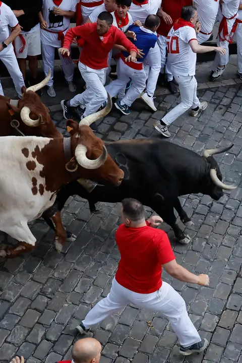 Quinto encierro de San Fermín 2025 el día 11 de julio con toros de Jandilla en la plaza del Ayuntamiento. EFE - VILLAR LÓPEZ (2)