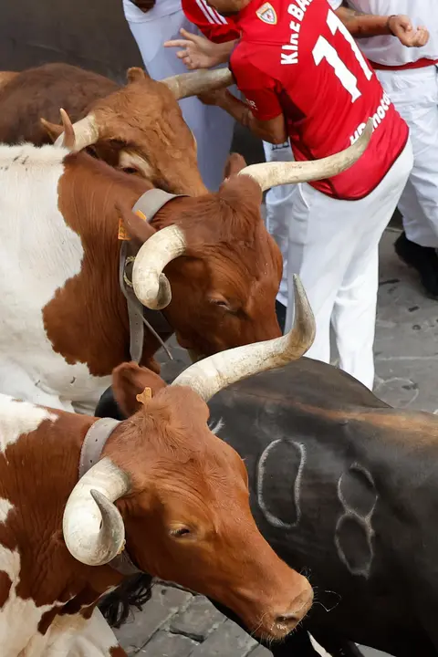 Quinto encierro de San Fermín 2025 el día 11 de julio con toros de Jandilla en la plaza del Ayuntamiento. EFE - VILLAR LÓPEZ (3)