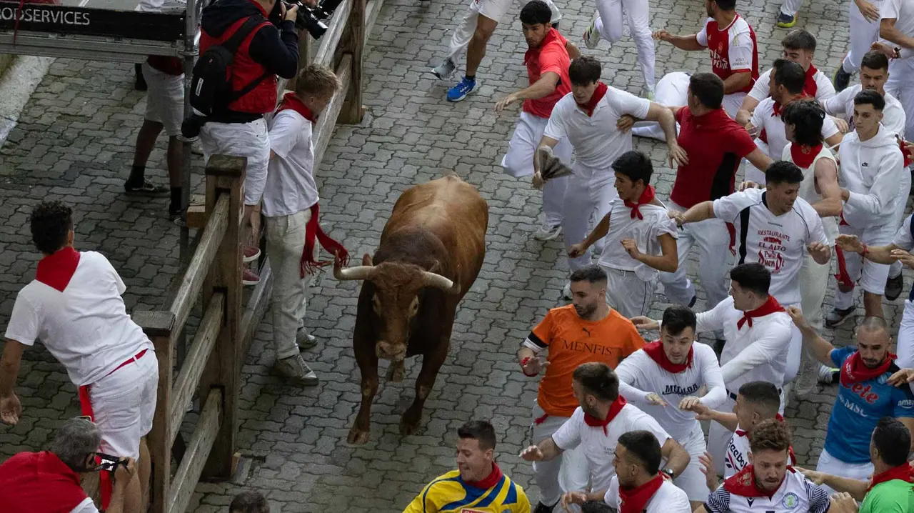 Quinto encierro de San Fermín con toros de Jandilla en bajada del callejón. Maite H. Mateo..-01