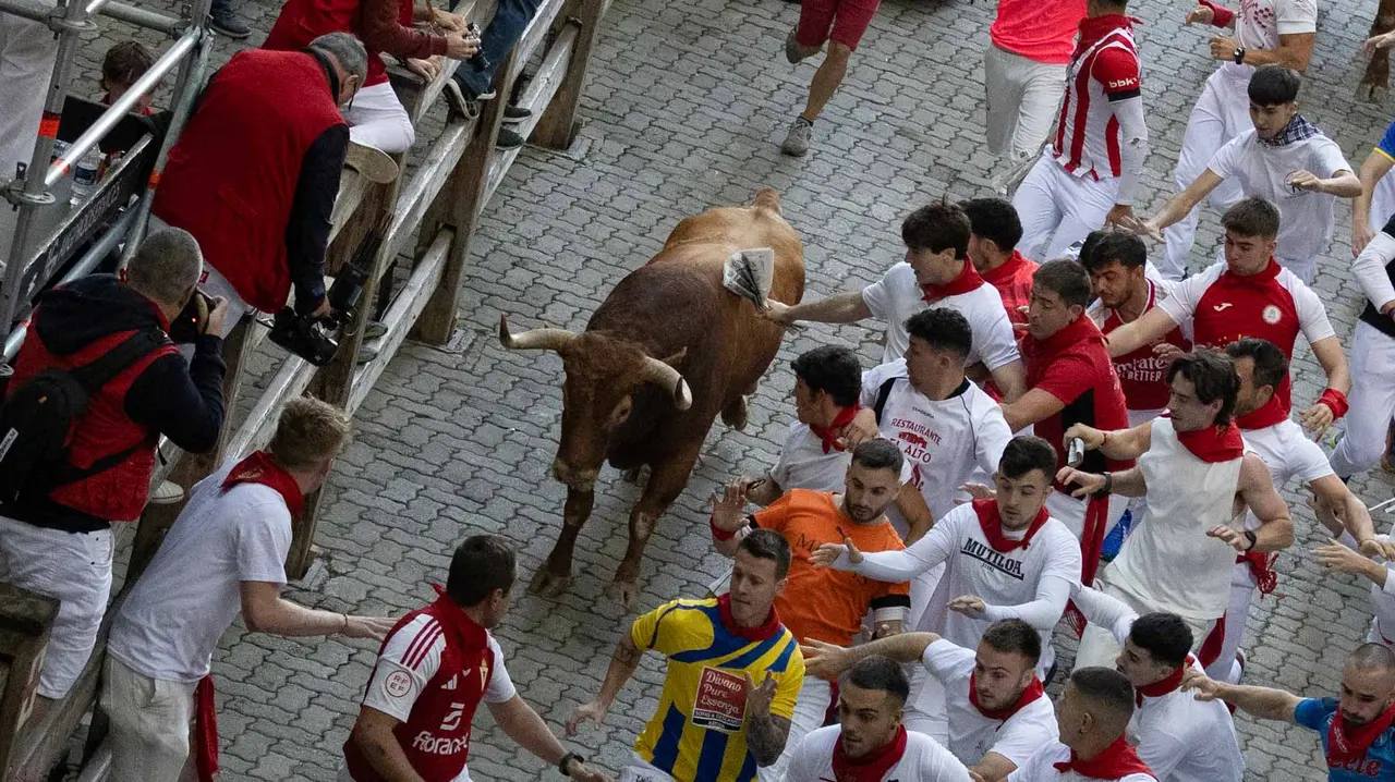 Quinto encierro de San Fermín con toros de Jandilla en bajada del callejón. Maite H. Mateo..-05
