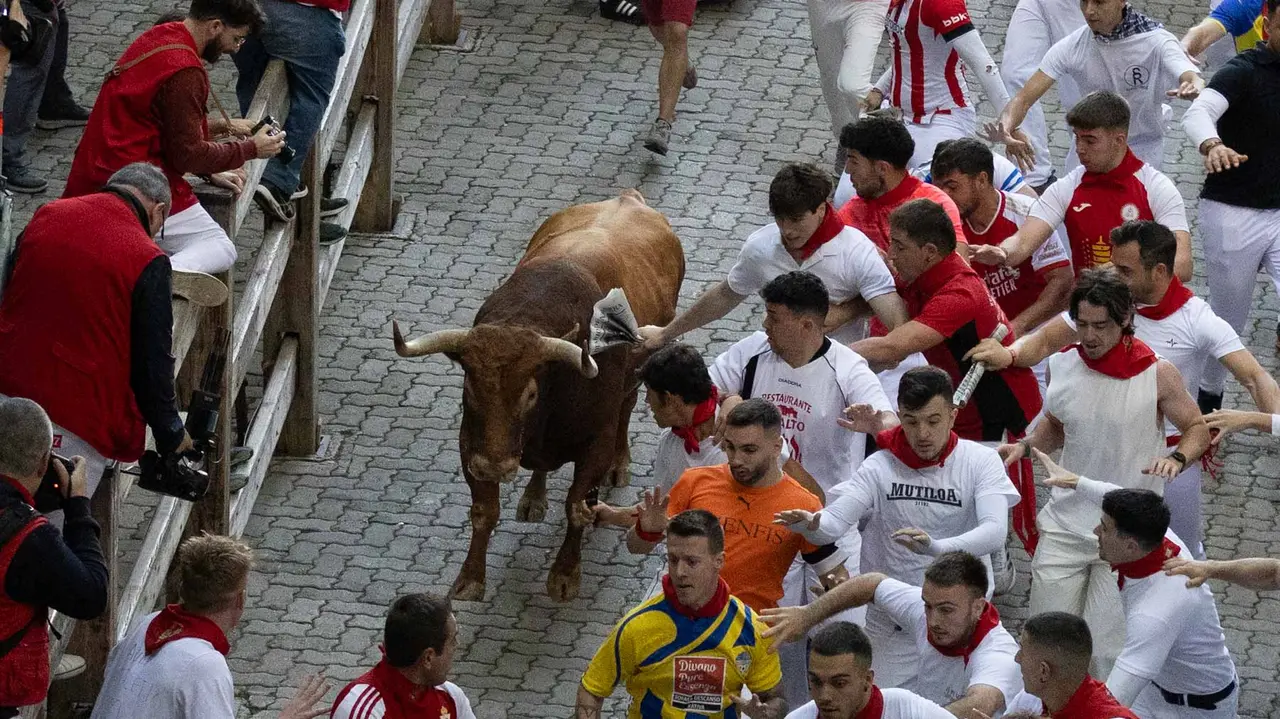 Quinto encierro de San Fermín con toros de Jandilla en bajada del callejón. Maite H. Mateo..-06