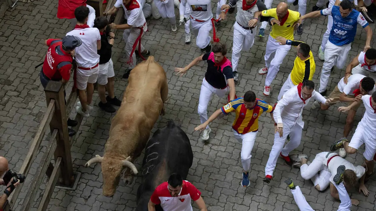 Quinto encierro de San Fermín con toros de Jandilla en bajada del callejón. Maite H. Mateo..-08