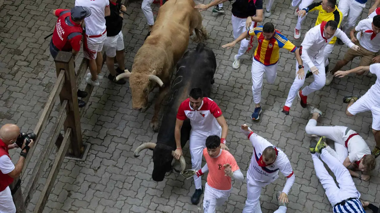 Quinto encierro de San Fermín con toros de Jandilla en bajada del callejón. Maite H. Mateo..-09