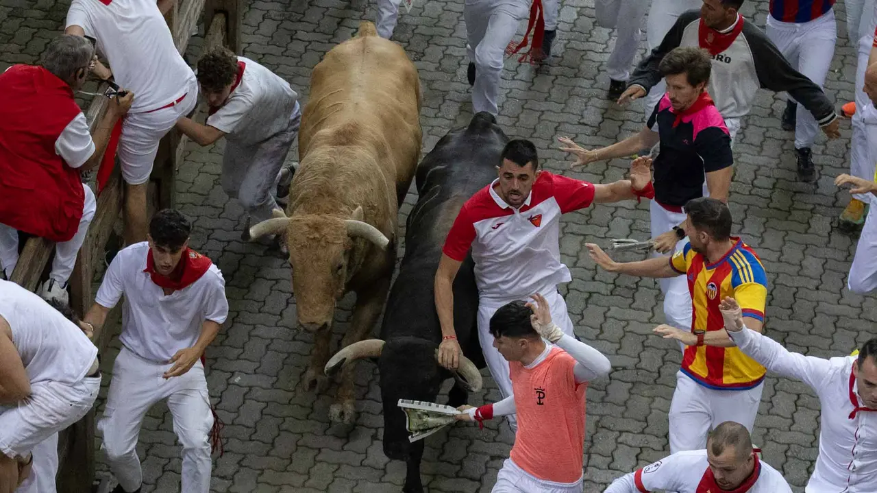 Quinto encierro de San Fermín con toros de Jandilla en bajada del callejón. Maite H. Mateo..-14