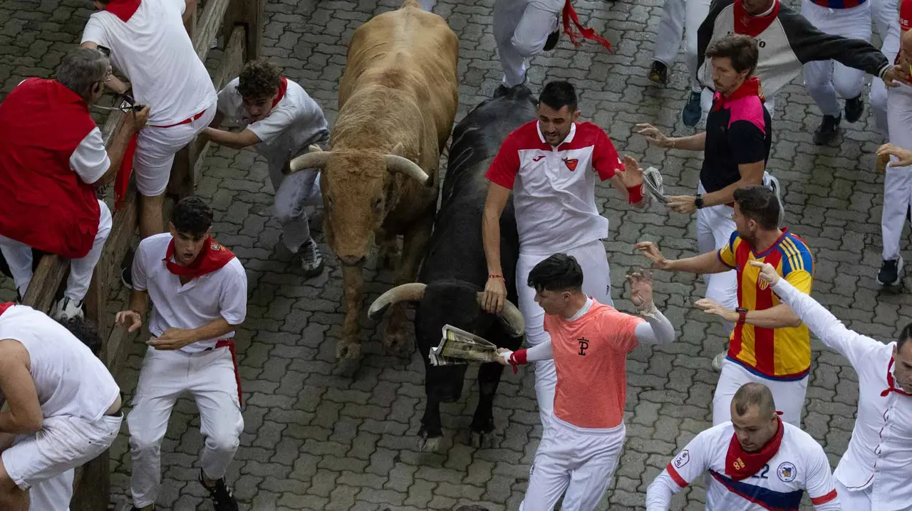 Quinto encierro de San Fermín con toros de Jandilla en bajada del callejón. Maite H. Mateo..-15