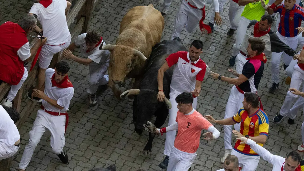 Quinto encierro de San Fermín con toros de Jandilla en bajada del callejón. Maite H. Mateo..-16